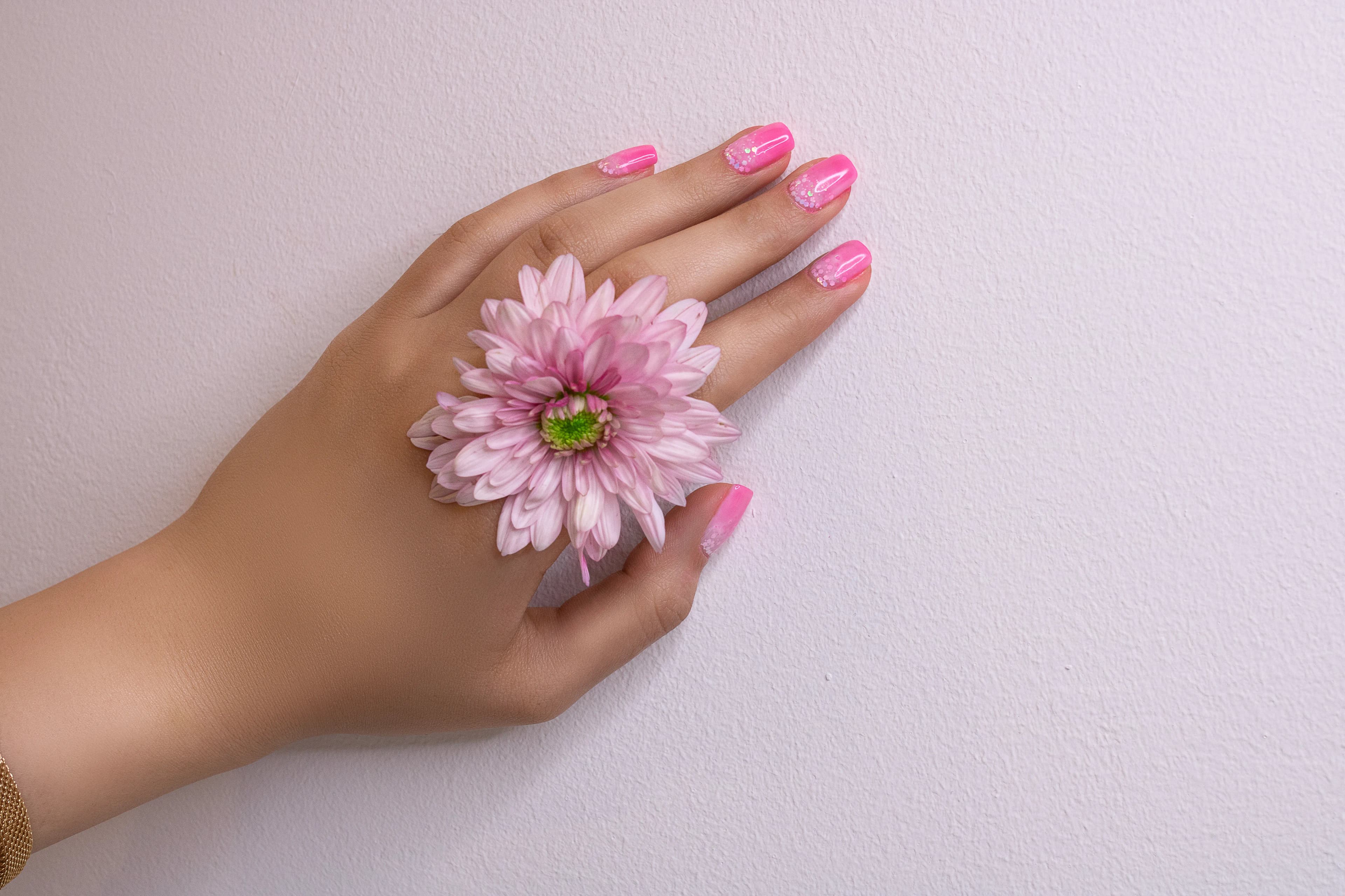 A hand with pink polished nails holding a pale pink flower